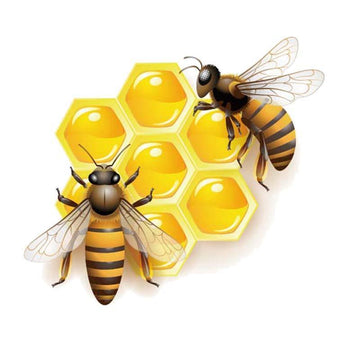 AliExpress Sticker/Bumper Sticker Bees Honey Bee and Bee Happy Stickers for Car or Anywhere!